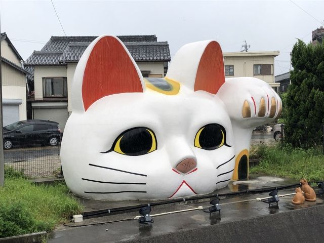 гигантский кот манэки нэки